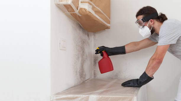 Professional Mold Remediation technician working in Medfield, MA